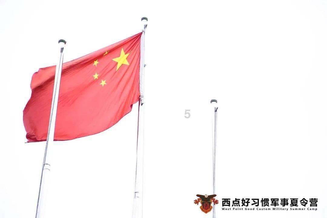 秋冬萝卜暖人心